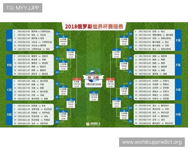 世界杯埃及VS伊朗比赛门票预订攻略及购票注意事项全解析